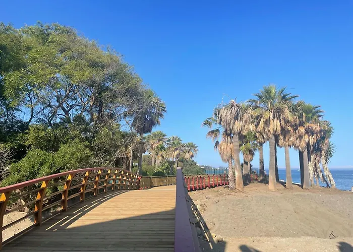 Garden House Frontline *